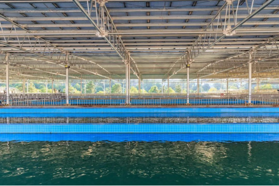 image755.png
